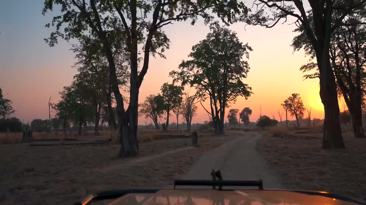 Sunset rituals