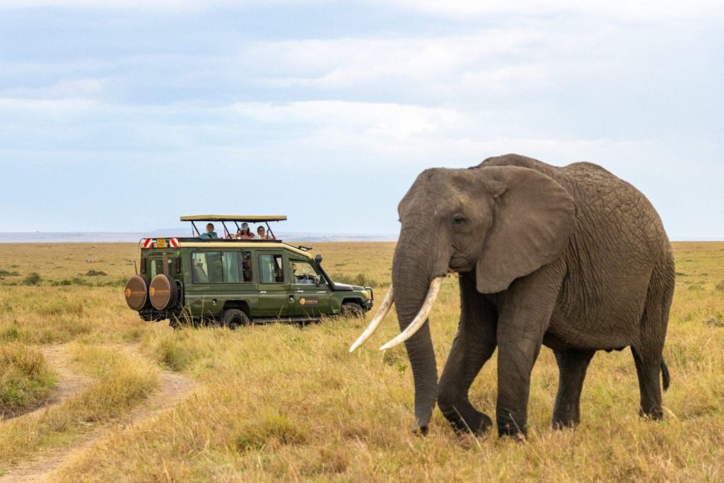 Matusadona Game Drive