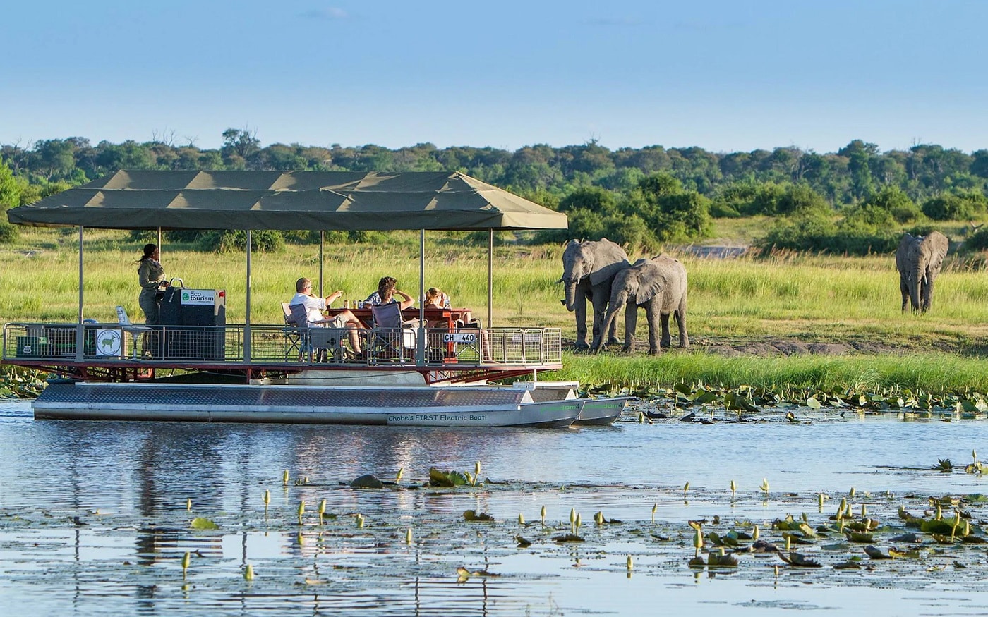 Chobe Full-Day Game Drive & Boat Cruise